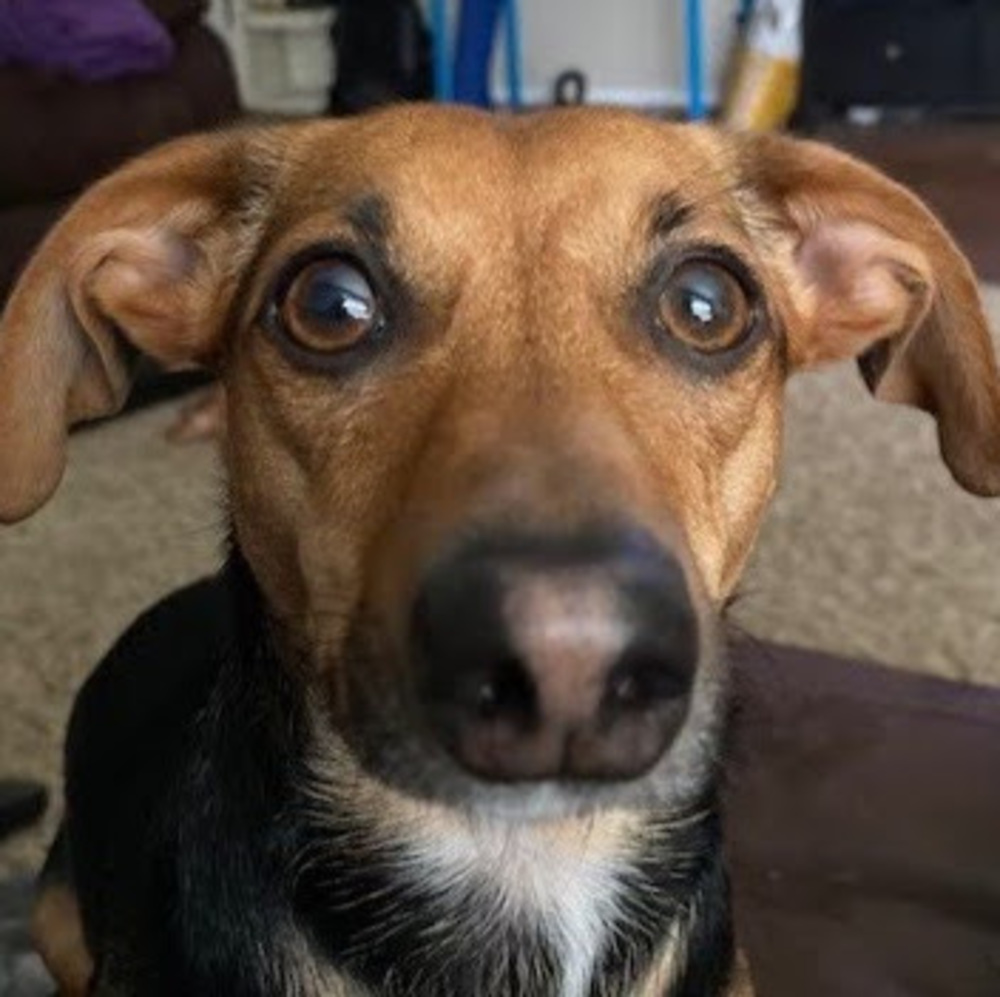 Meet your Posher, Carlos